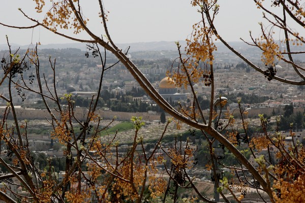 Above the Peak of Mount Scopus