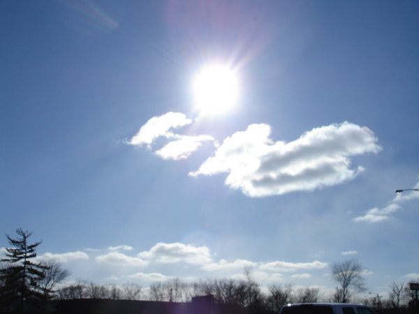 Sunny day