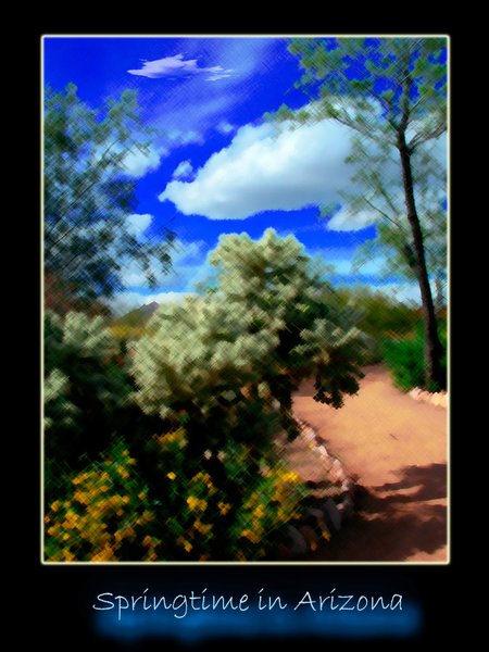 Springtime in Arizona