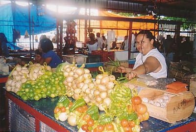 Vegetable Market