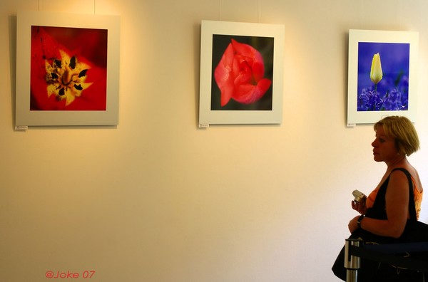 Exposition in the keukenhof