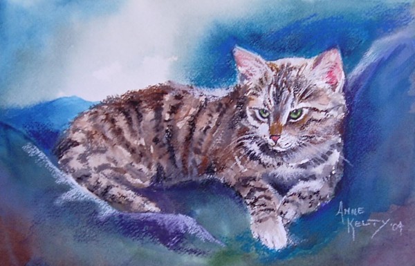 Kitten on a Blue Blanket
