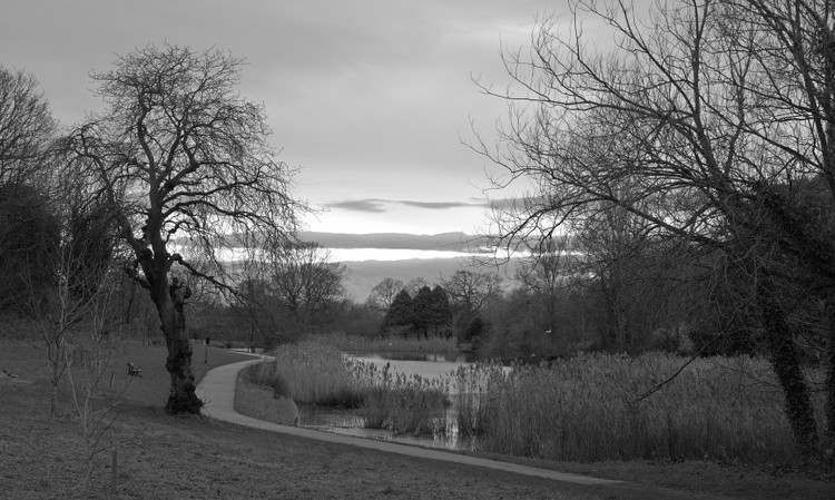 Winters Veiw