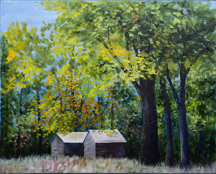 Two Sheds in the Trees