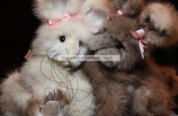 Bunny