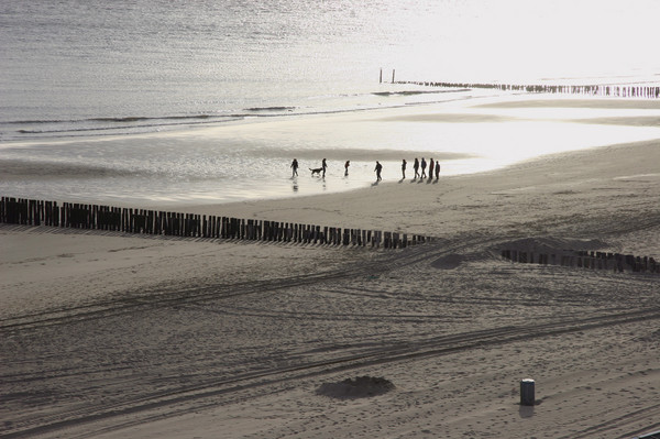 A walk along the Beach