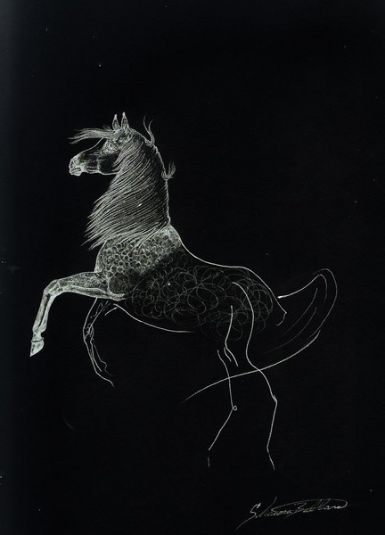 Constellation