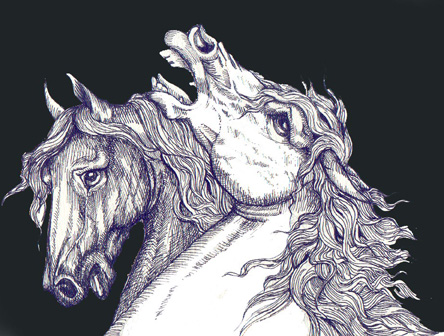 Horses