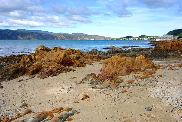 Seascape at Seatoun
