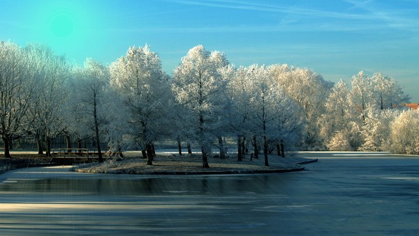 No Snow, Plain ICE!
