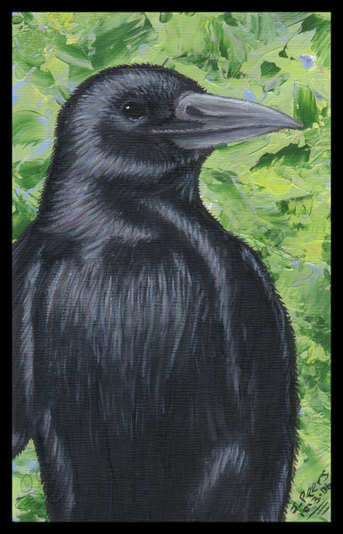 Crow