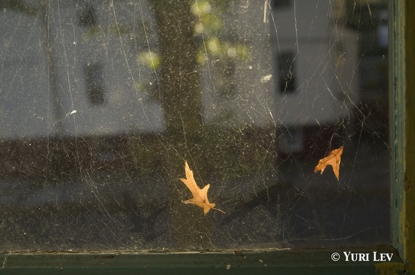 October Light