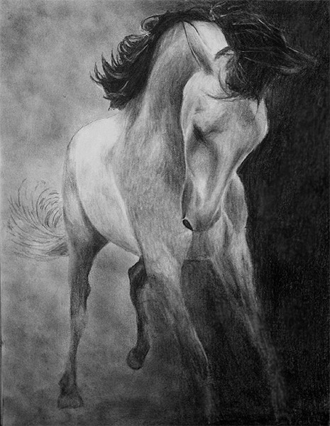 Darkhorse