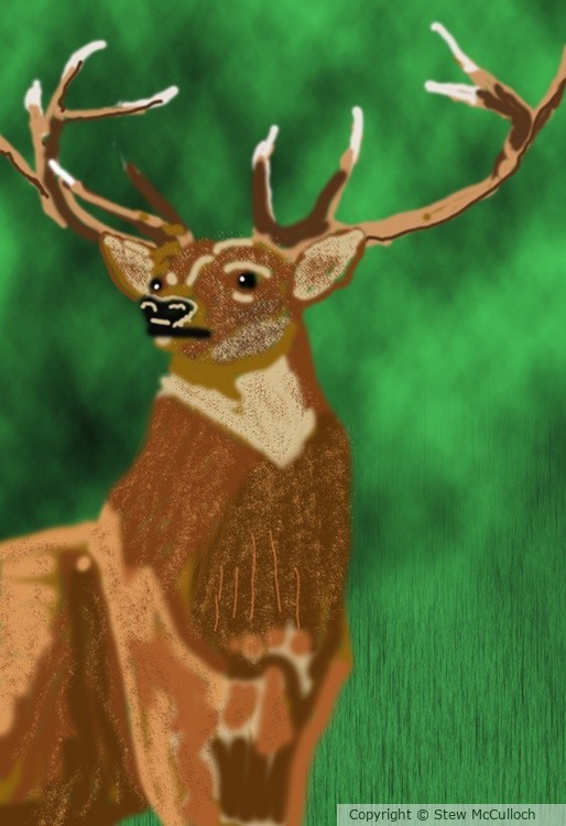 Caribou  P304