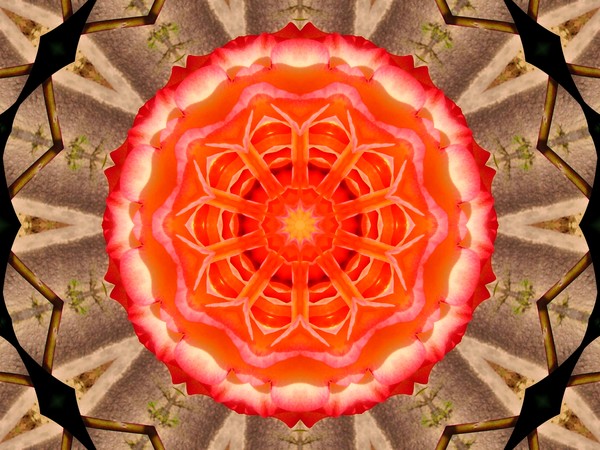 Flower series 1