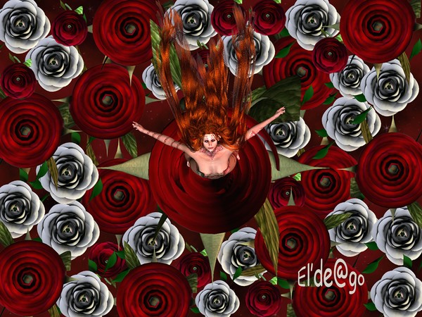 Heart of The Rose