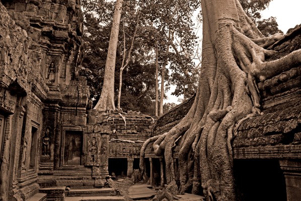 Ta Prohm, Cambodia