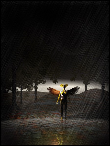 In the Rain