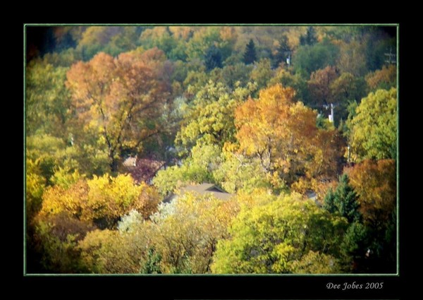 Autumn colors by The Master Artist