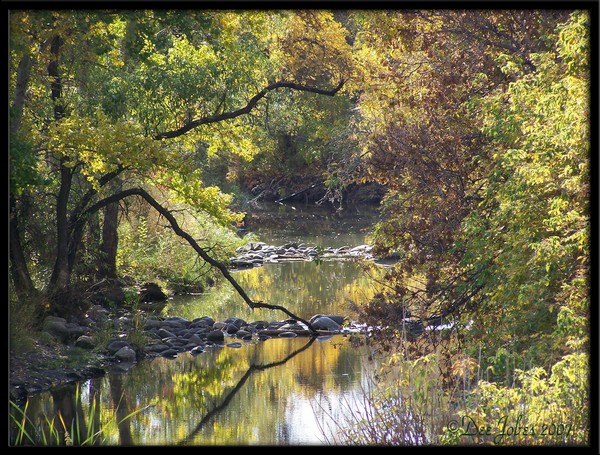 Peaceful Reflections