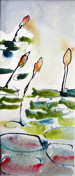 Tai Chi Waterlilies