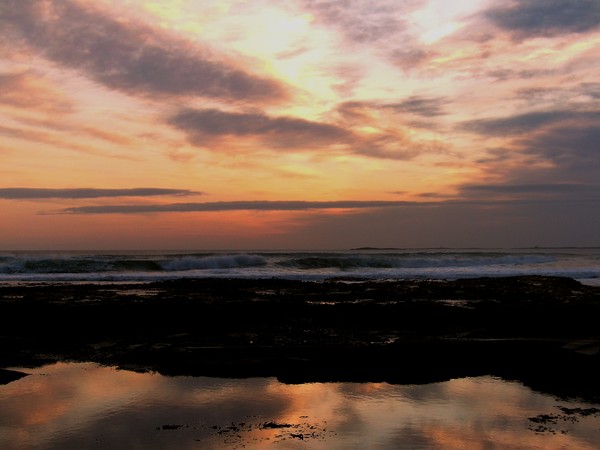 Reflections In A Rock Pool