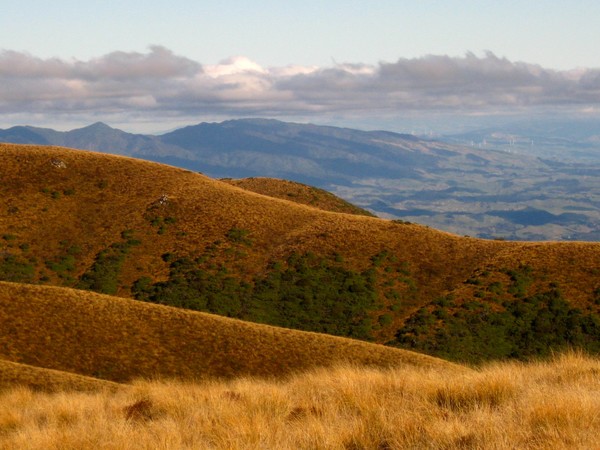 View from Rangi Hut