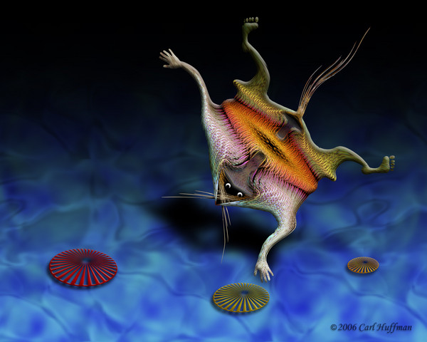 Diving for Shell Fish