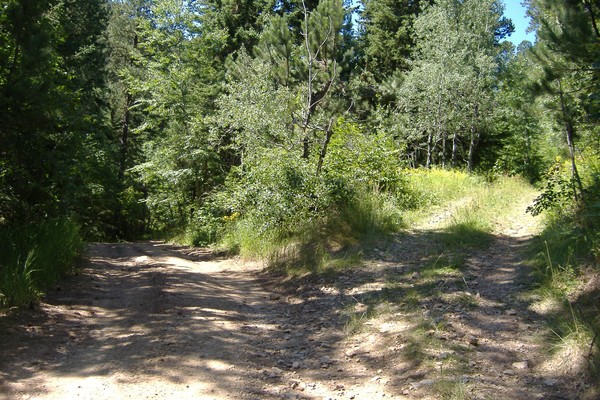 I will Take the Path less traveled
