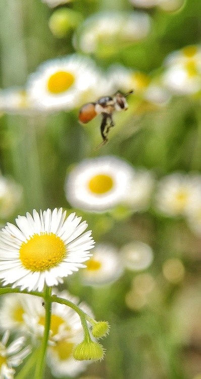 taking off
