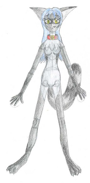 renee raccoongirl
