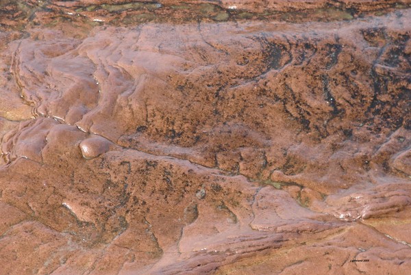 Red Sands at Low Tide