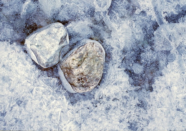 Frozen World