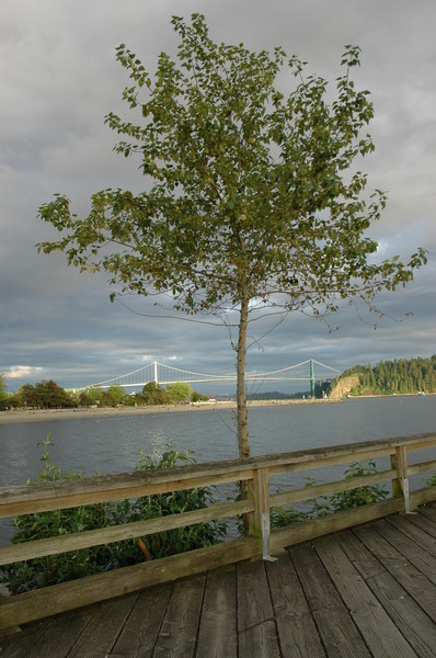 Ambleside Park