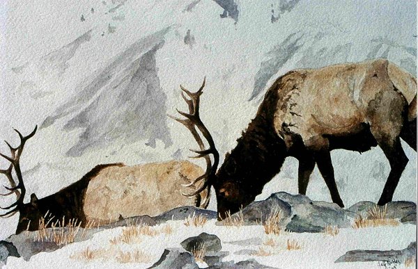 Mountain Monarchs