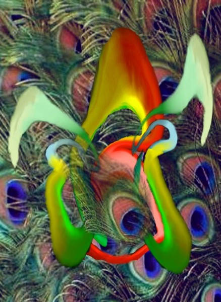Peacock Dance