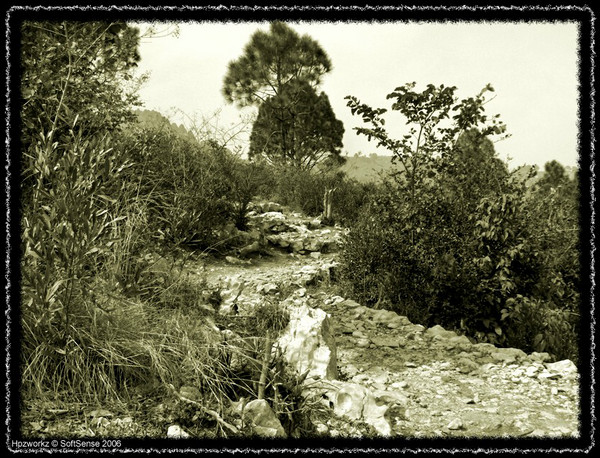 The Path Less Traveled