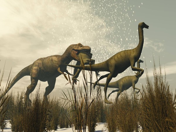 Ice Age