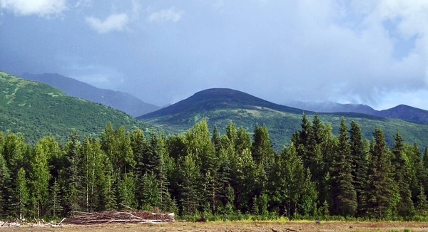 Shrouded Mountain Top