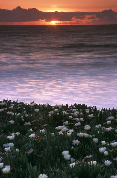 Pelican Point Sun Setting