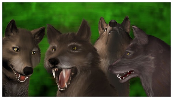 Wolf Pack