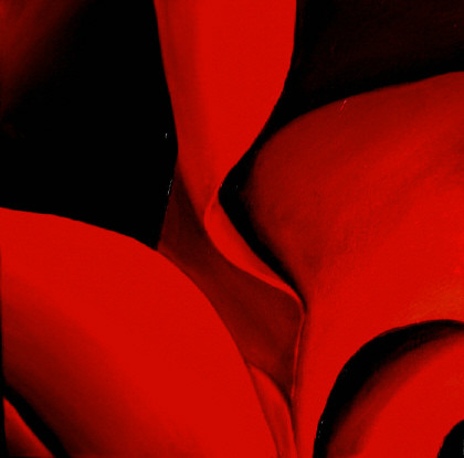 rose 12