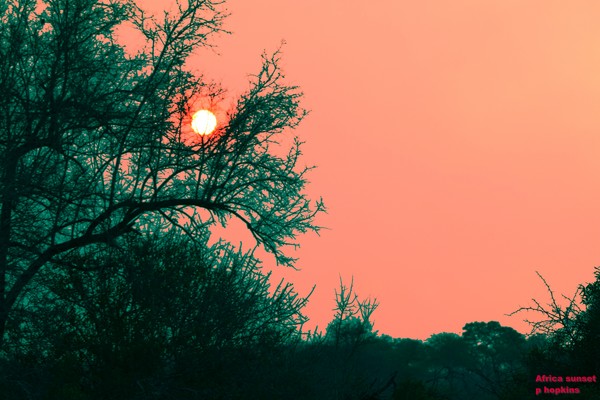 Africa sunset