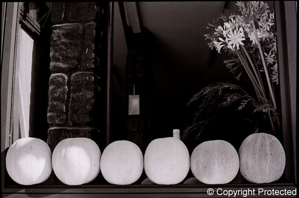 Pumpkins to the window
