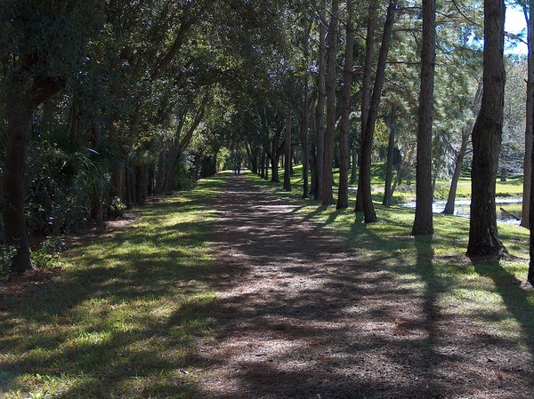 A walk in the Park
