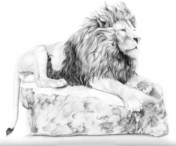 Aslan