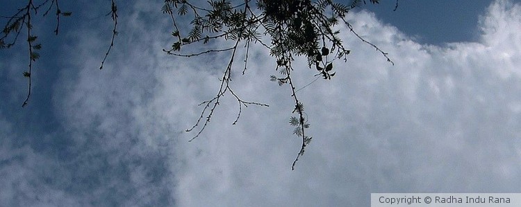 Yesterday sky