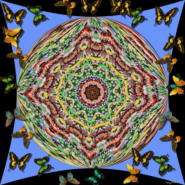 Butterflies and Dreams of Color