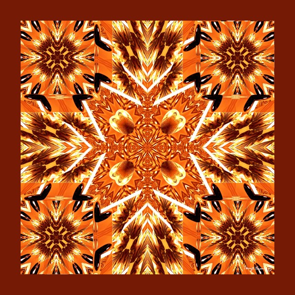 Orange Bedazzle