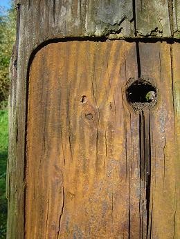 wood view